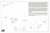 mar15 northern marquesas_thumb.gif
